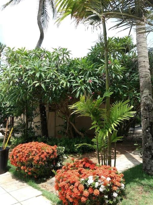 Eco Paradise Cumbuco 131 Exterior foto